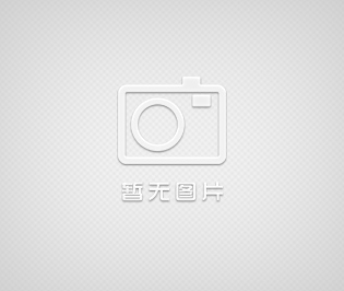 KCG高溫齒輪泵